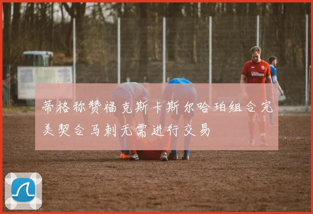 蒂格称赞福克斯卡斯尔哈珀组合完美契合马刺无需进行交易