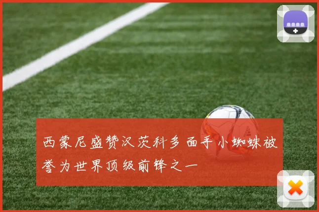 西蒙尼盛赞汉茨科多面手小蜘蛛被誉为世界顶级前锋之一